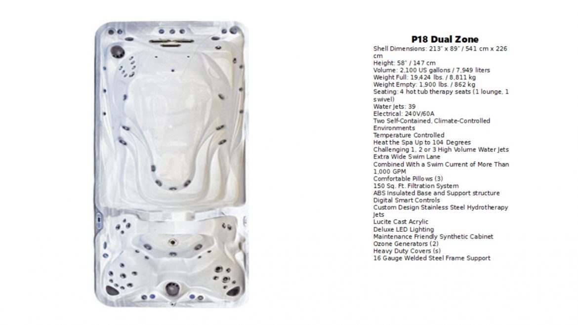 P18 DUAL ZONE