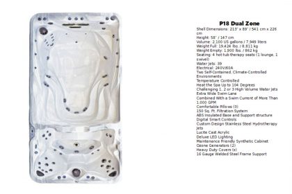 P18 DUAL ZONE