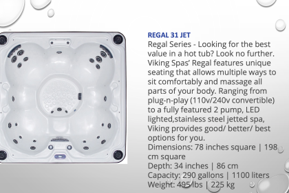 Regal 31 Jet